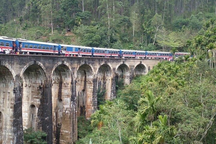 Sri Lanka Ella Private Day Tour Nine Arch & Elephant transit home