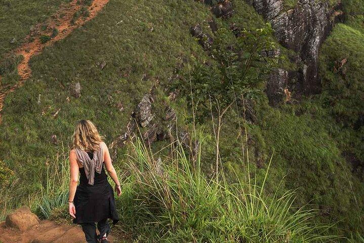 Sri Lanka Ella Private Day Tour Nine Arch & Elephant transit home