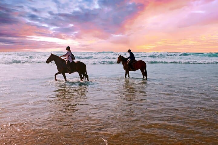 Beach Horse Riding Dubai with Transfers
