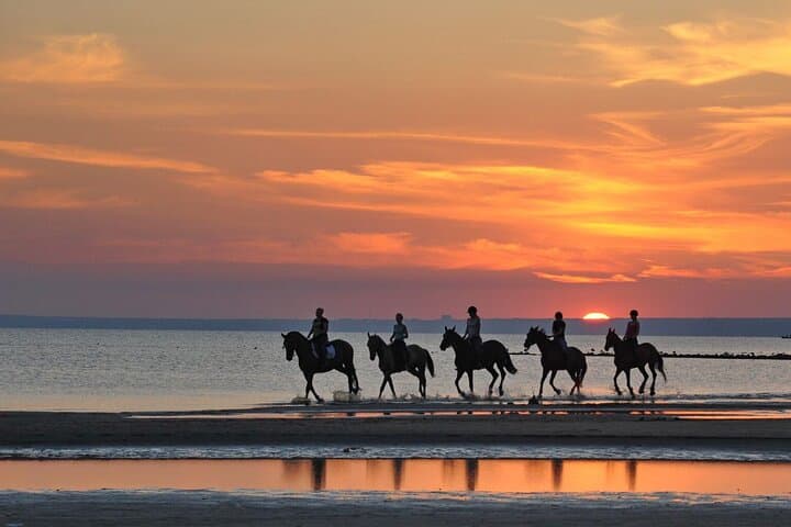 Beach Horse Riding Dubai with Transfers