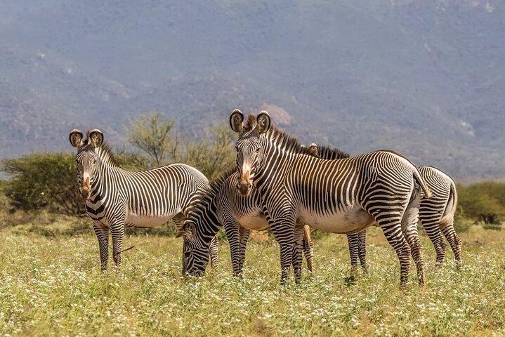 3 Days 2 Nights Samburu National Reserve Private Safari Package