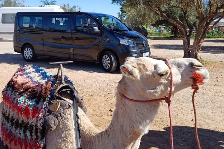 Private Luxury Transfer From Fes to Tangier via Chefchaouen