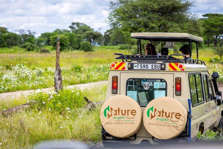 9 Days Tanzania Big Five Safari and Zanzibar Beach Holiday