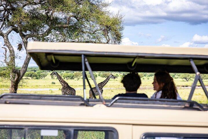 9 Days Tanzania Big Five Safari and Zanzibar Beach Holiday