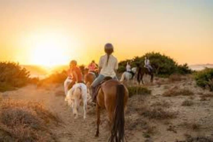 Taghazout Sunset Horse Riding On The Beach