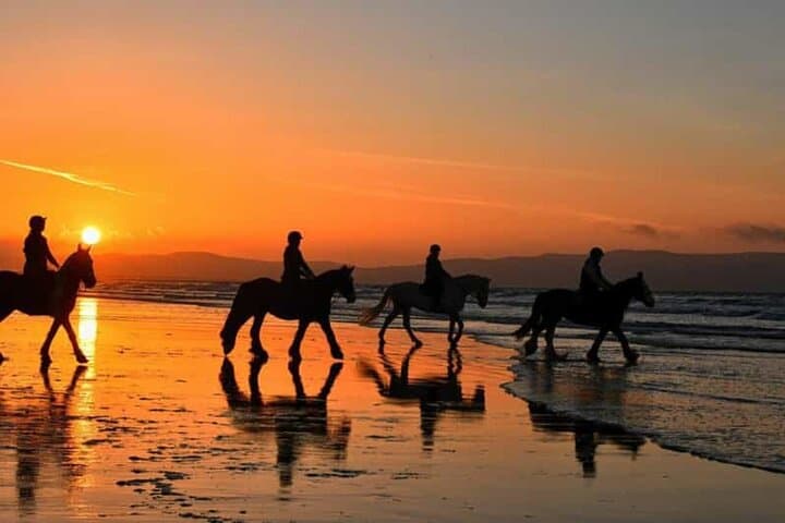 Taghazout Sunset Horse Riding On The Beach