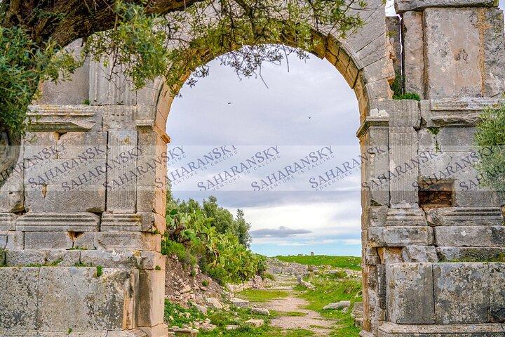 Dougga and Bulla Regia Via Testour + Lunch Small-Group Tour
