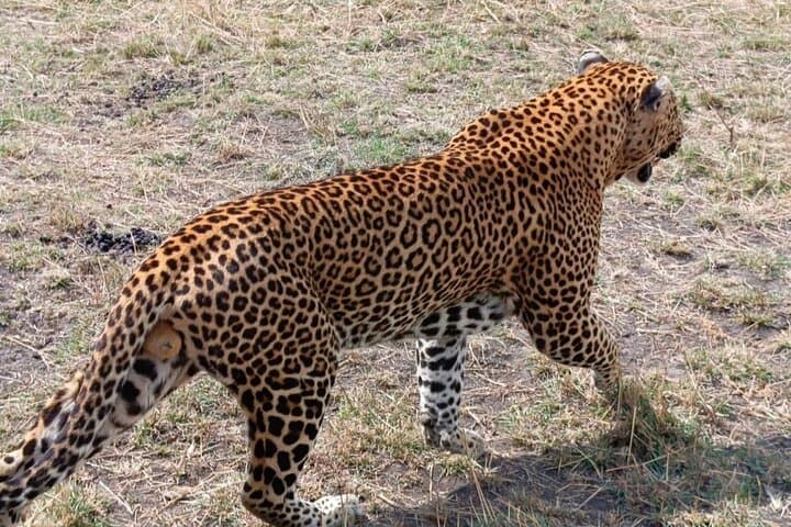 3 Days Samburu National Reserve Tour