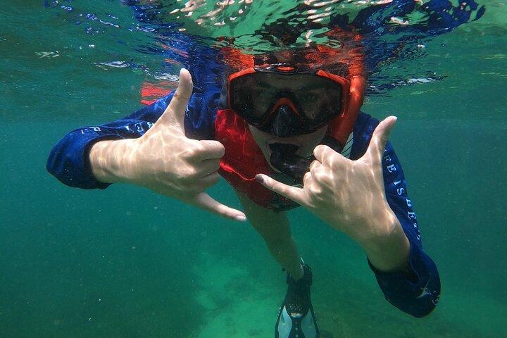 San Juan: Snorkeling with Turtles and Complimentary Videos