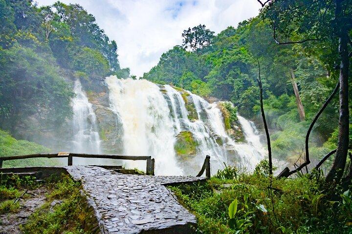 Doi Inthanon National Park, Waterfall & Royal Project Day Tour From Chiang Mai
