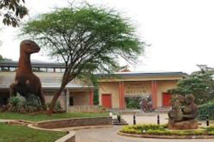 Half Day To Nairobi National Museum and Snake Park