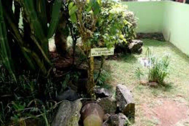 Half Day To Nairobi National Museum and Snake Park