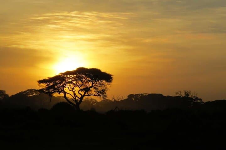 Cape Town Big Five Sunset Safari Ticket with transport Inclusiv