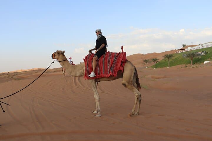 Dubai: Dune Buggy Safari and Camel Ride with Transportation