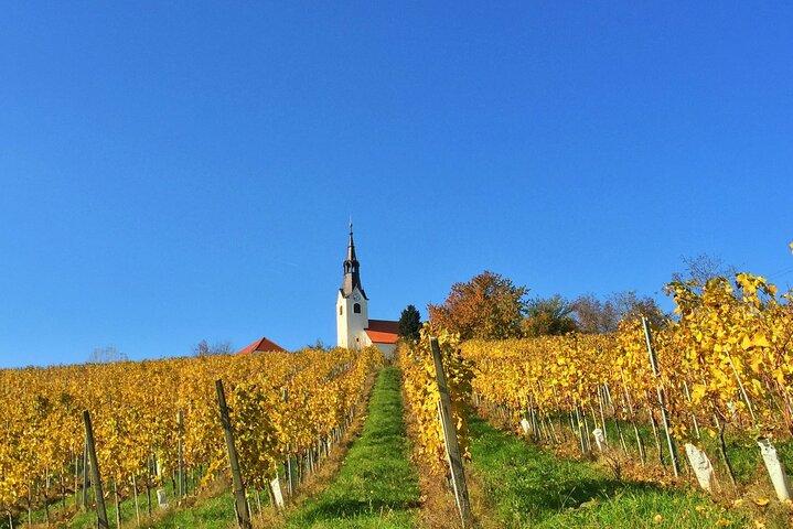 Sips & Scenery: Wine Tour from Ljubljana or Bled.
