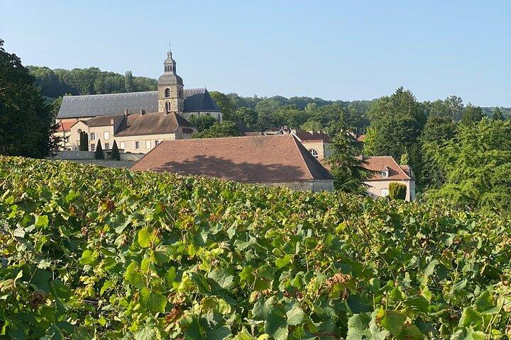 Champagne vineyards & cellars tour with Sommelier from Paris
