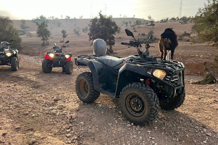 Quad Agadir & Crocoparc: Combined Excursion & Transfers