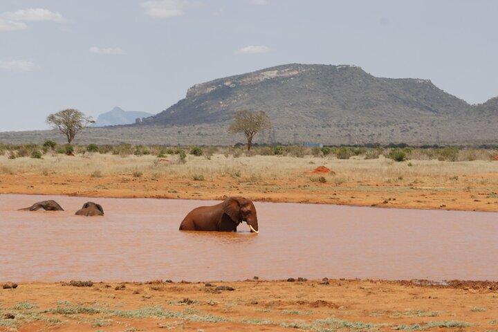 (2 Days, 1 Night) Day & Night Game Drive Tsavo East National Park