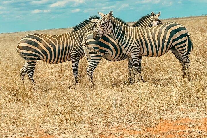 (2 Days, 1 Night) Day & Night Game Drive Tsavo East National Park