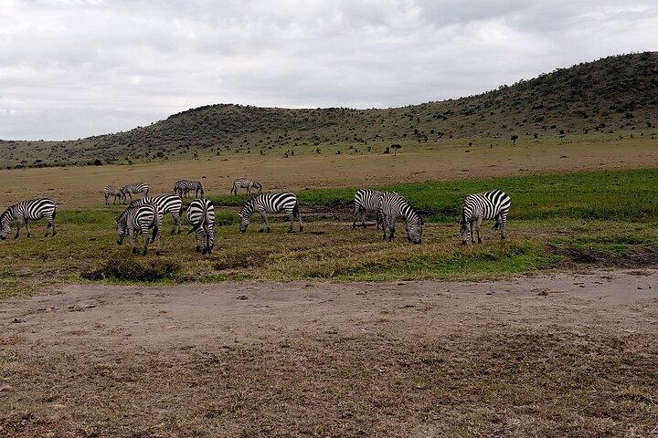Nairobi National Park Morning Game Drive