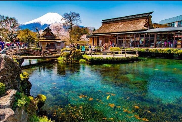 From Tokyo: Top 5 Scenic Spots of Mount Fuji Full-Day Tour