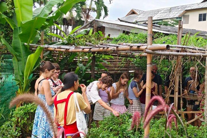 Cooking class in organic garden and local market tour ThaiCottage