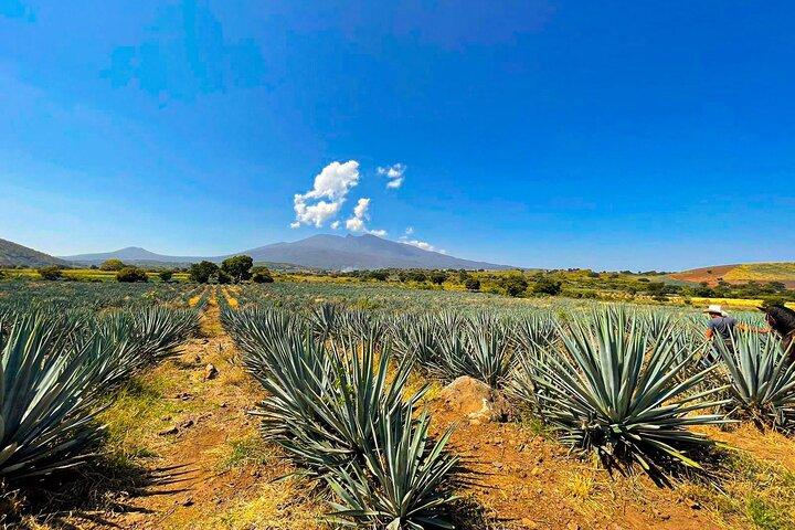 Factory José Cuervo | Tequilera Adventure with Cantaritos el Güero.