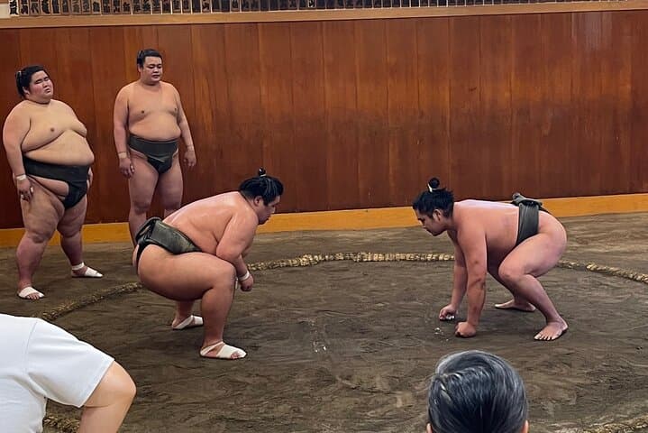 Chair Seat Guaranteed SUMO Practice +Photo +Culture Option