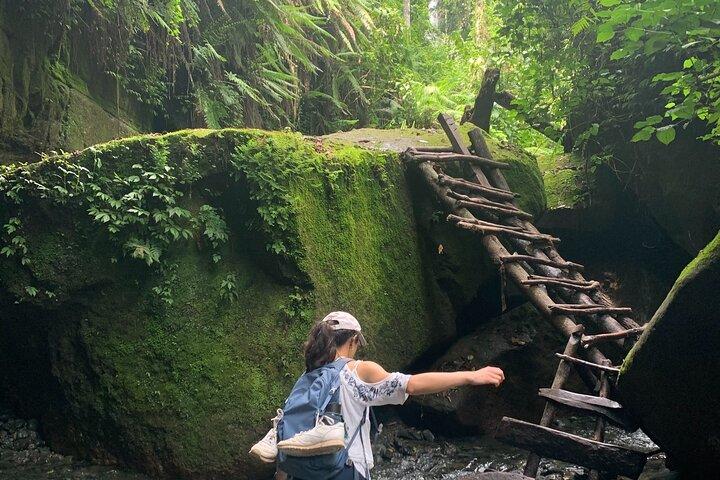 Mount Meru Arusha Napuru Waterfall Hike by Kingstone Asilia