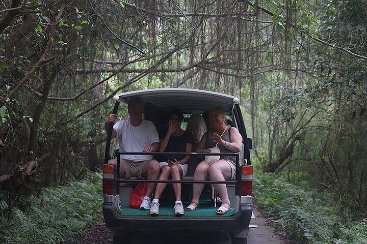 From Hanoi: Cat Ba Island- Lan Ha Bay Day Trip on Luxury Cruise