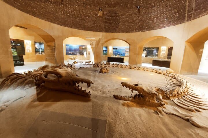 Fayoum Oasis Adventure: Nature, History, and Excitement