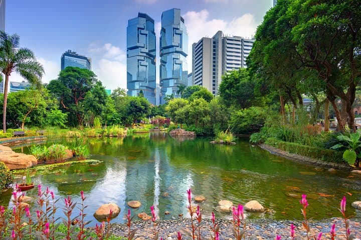 Kid-friendly Hong Kong Private Walking Guided Tour for Families