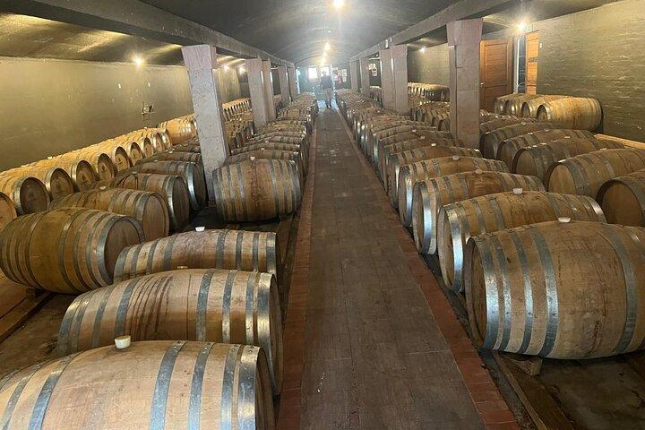 Cheetah and Wine Tour from Cape Town with Hotel Pickup and Return