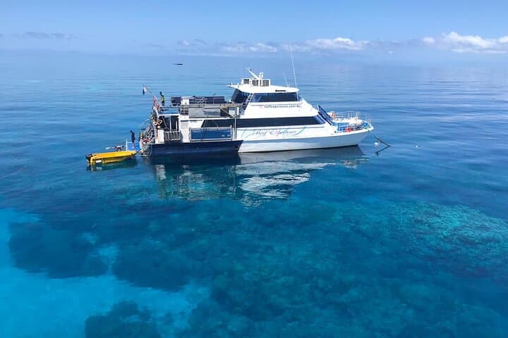 Cairns: Best Value All-inclusive Reef Trip With Scuba Dive