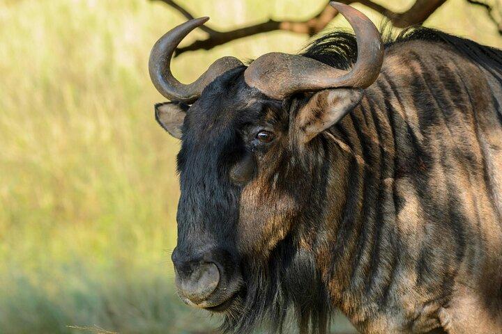 7 Days Best of Kenya Budget Shared Joining Safari