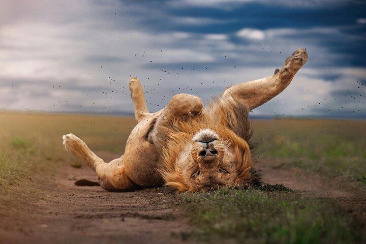 7 Days Best of Kenya Budget Shared Joining Safari
