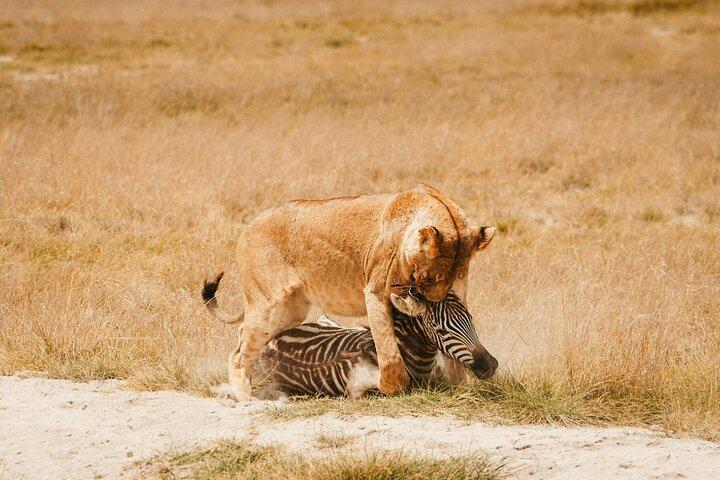 7 Days Best of Kenya Budget Shared Joining Safari