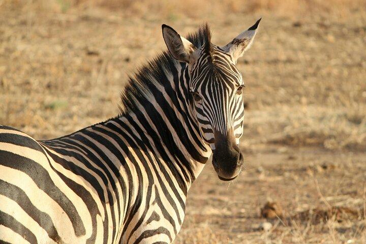7 Days Best of Kenya Budget Shared Joining Safari