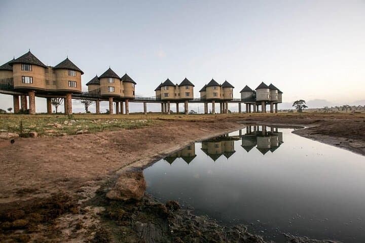 3 Days Private Safari To Saltlick Lodge From Nairobi