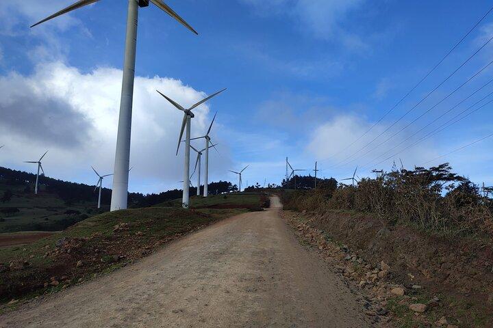 Private Hiking At Ngong Hills