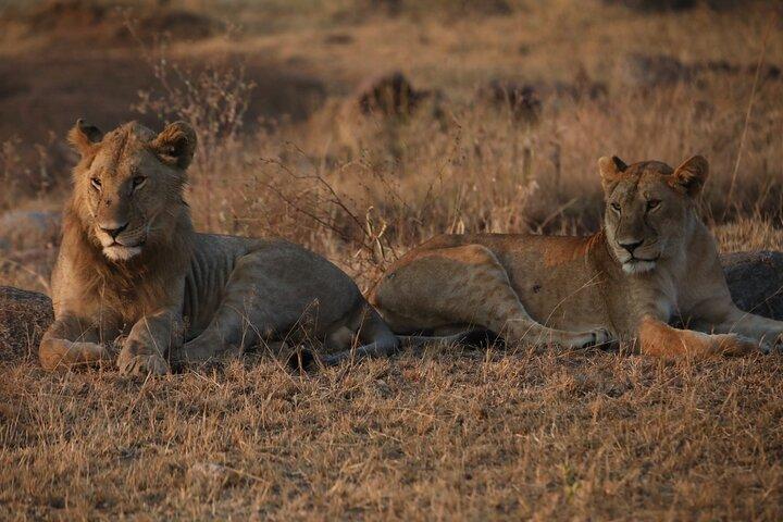 9 Day Tanzania Northern Circuit Mid Range Safari