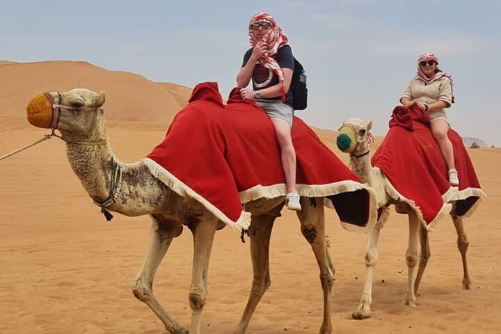 Early Morning Desert Safari Camel Ride, Sandboarding Falcon Photo