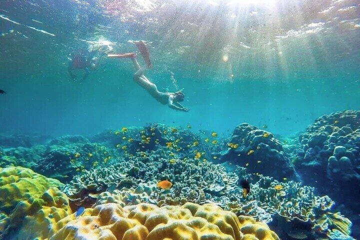 Similan Islands Day Tour from Phuket and Khaolak