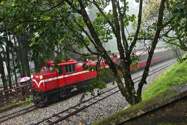 Taichung Alishan National Forest Full-Day Small Group Tour