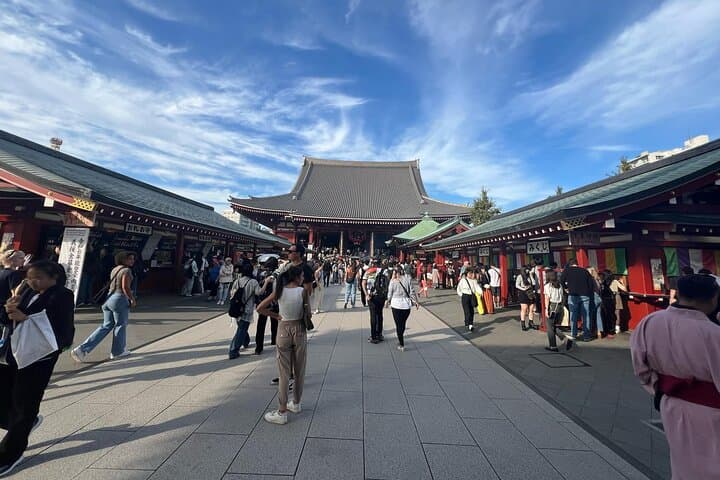 Tokyo Private Tour by Luxury Green Plate Car with Guide
