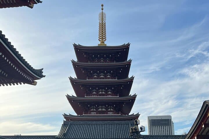 Tokyo Private Tour by Luxury Green Plate Car with Guide