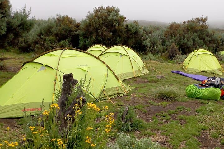 Mount Kenya 5 Day Hike Sirimon to Chogoria