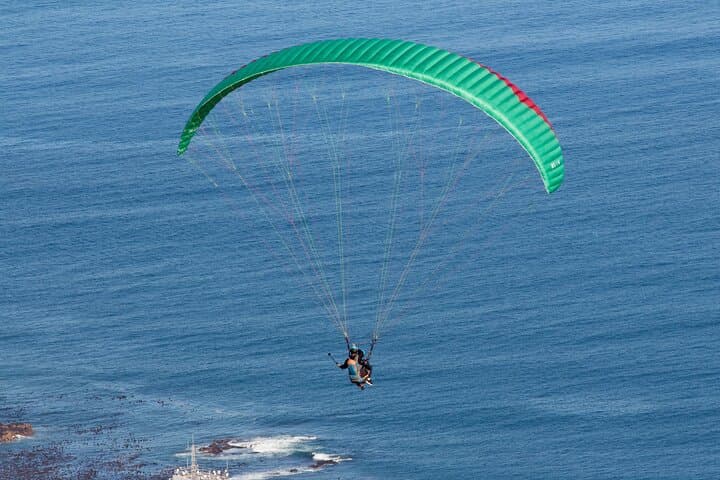 Private Tour: Cape of Good Hope and Boulders Beach Penguin Tour