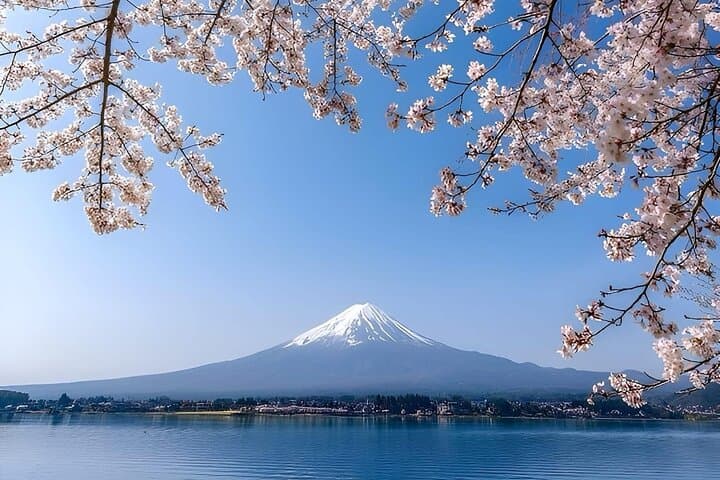 Mount Fuji Luxury Tour in Mercedes-Benz | Green Plate Car