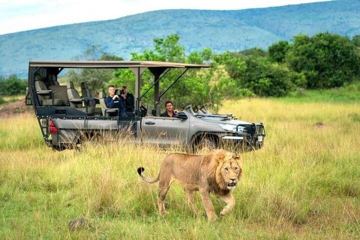3Day, 2Night Safari in Masai Mara Kenya